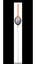 BOLLA